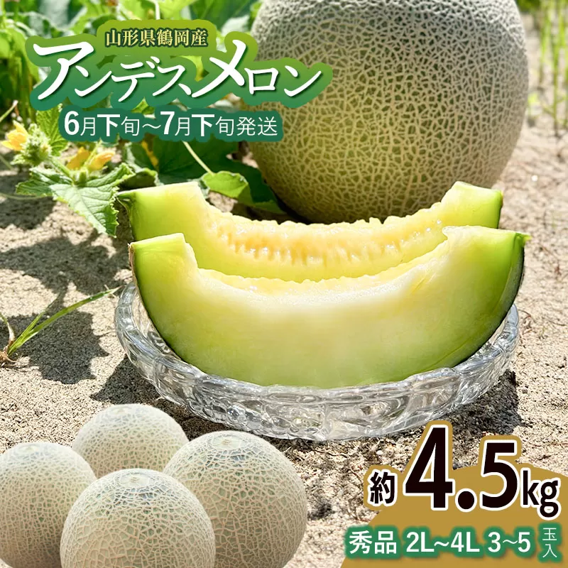 【令和8年産先行予約】アンデスメロン（青肉） 約4.5kg 2L～4L 【秀品】 3～5玉入 【令和8年6月下旬～7月下旬頃発送予定】 山形県鶴岡産 庄内砂丘メロン 御殿まりメロン 丸果庄内青果 