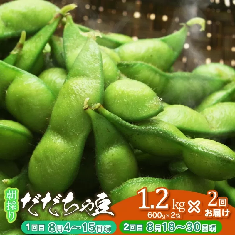 【2回定期便】【令和8年産先行予約】 朝採り生だだちゃ豆 1.2kg(600g×2袋) 旬2回お届け (8月上旬、8月下旬) 山形県鶴岡市産　株式会社菜な八（鶴岡ファーマーズ）