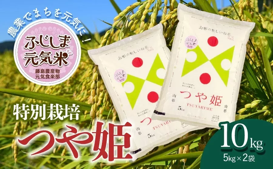 【令和6年産】特別栽培つや姫　ふじしま元気米　10kg（5kg×2）新鮮館Ａコープ藤島店