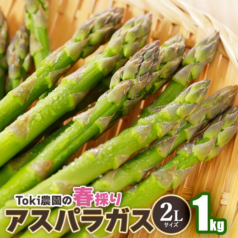 【令和8年産先行予約】 春採りアスパラガス 2Lサイズ 1kg 山形県鶴岡産 Toki農園