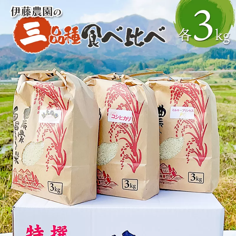【令和7年産先行予約】 ミルキープリンセス＆コシヒカリ＆はえぬき 三種食べ比べセット 各3kg 合計9kg　伊藤農園