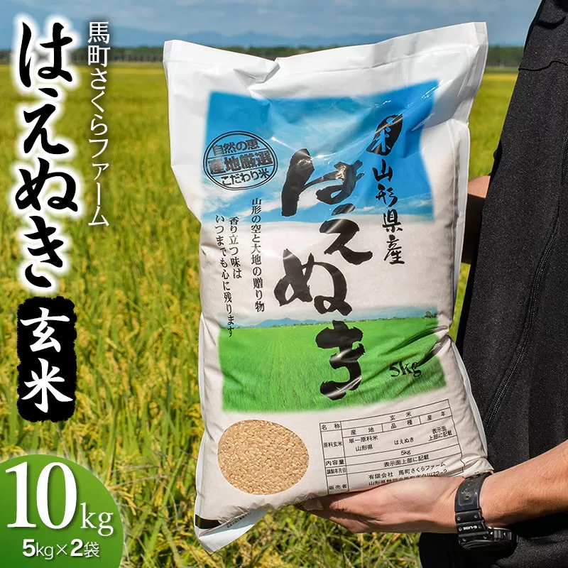 【令和7年産先行予約】 馬町さくらファームのはえぬき 玄米 10kg（5kg×2袋）　K-761