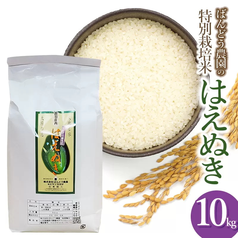 【令和7年産】【新米】　ばんどう農園の特別栽培米はえぬき 白米10kg　山形県鶴岡市産　K-781