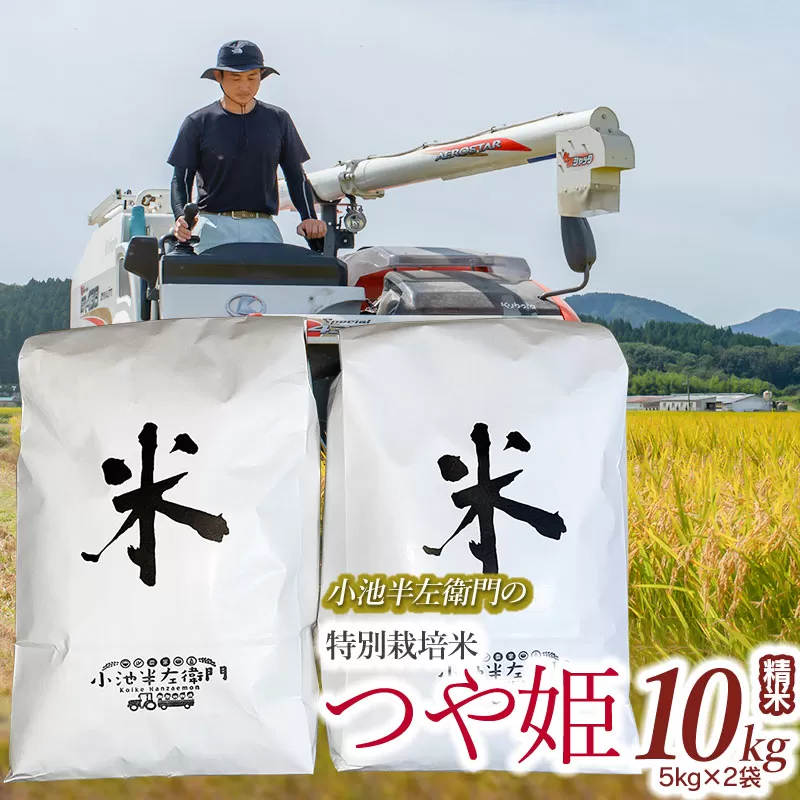 数量限定 【令和7年産先行予約】 山形県庄内産 小池半左衛門のお米 特別栽培米 つや姫 精米 10kg (5kg×2袋)