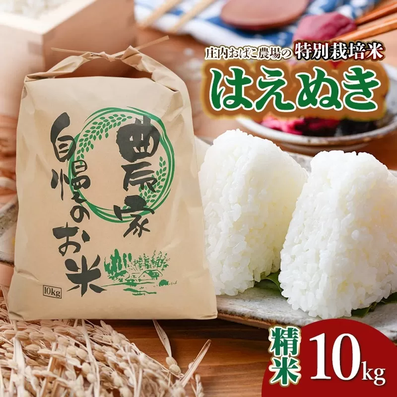 【令和7年産先行予約】庄内おばこ農場の特別栽培米 はえぬき【精米】10kg（10kg×1袋）　K-796
