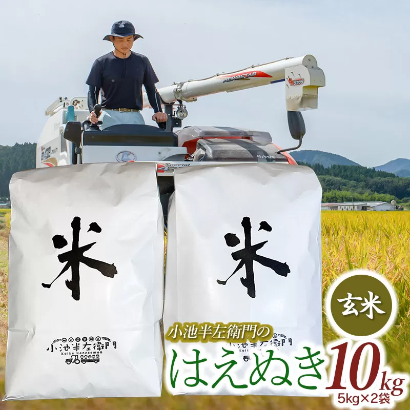 数量限定 【令和7年産先行予約】 山形県庄内産 小池半左衛門のお米 はえぬき 玄米 10kg (5kg×2袋)