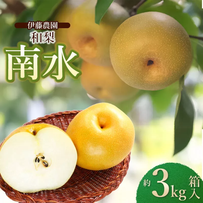 [令和8年産先行予約] 南水(和梨) 3kg箱入り (7〜9個入り) 山形県鶴岡市 伊藤農園