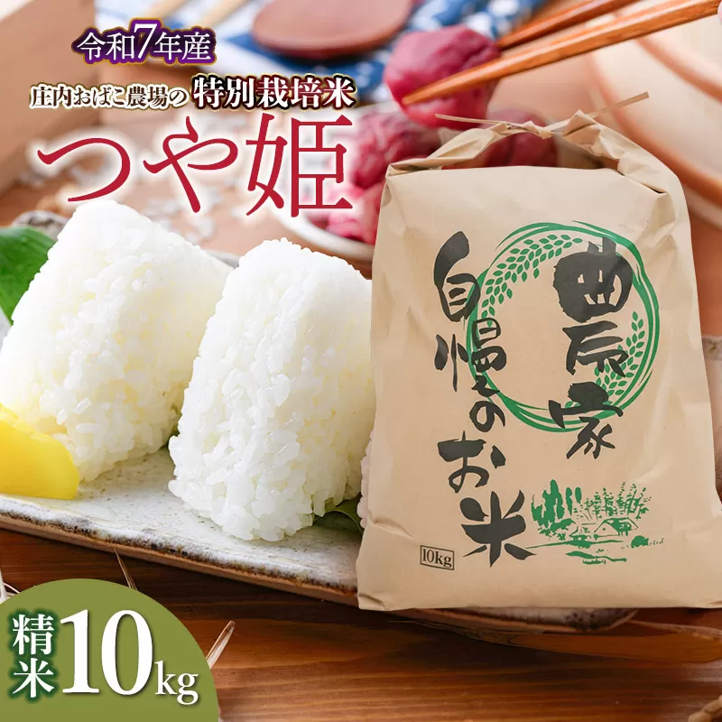 【令和7年産先行予約】庄内おばこ農場の特別栽培米 つや姫 精米 10kg (10kg×1袋)　K-7120