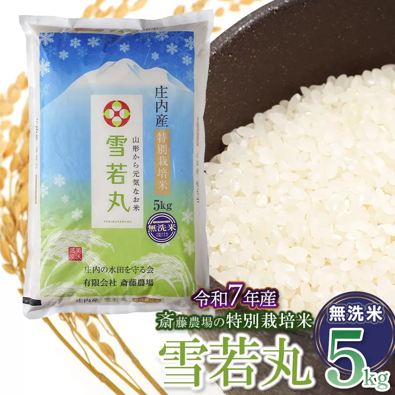 【令和7年産先行予約】 斎藤農場の特別栽培米 雪若丸 【無洗米】 5kg(5kg×1袋)　K-737