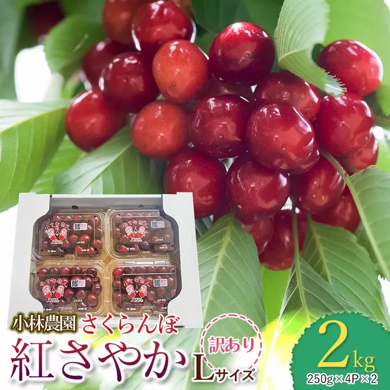 【令和7年産先行予約】【訳あり】さくらんぼ　紅さやか 2kg フードパック詰 Lサイズ　小林農園 さくらん坊