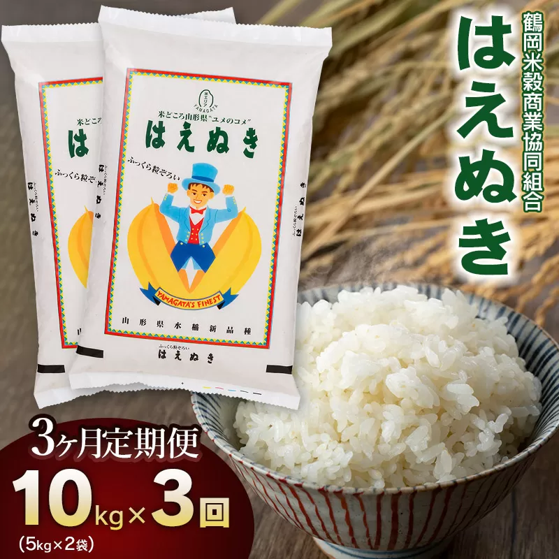 【3回定期便】【令和7年産】 はえぬき 10kg(5kg×2)×3回 山形県庄内産 鶴岡米穀商業協同組合