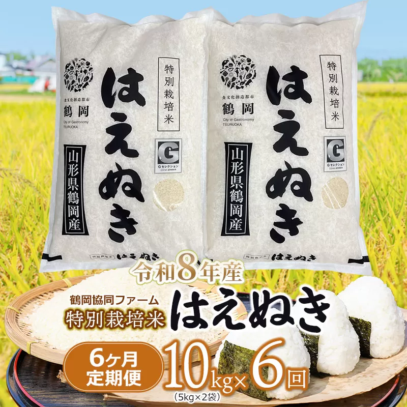 【令和8年産先行予約】 特別栽培米はえぬき 精米10kg (5kg×2袋)×6ヶ月【定期便】 鶴岡協同ファーム