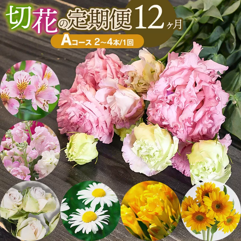 鶴岡産切花の定期便12ヶ月　Aコース　花蔵（HANAZO）　K-722