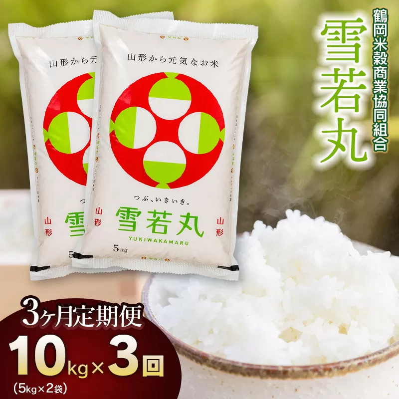 【3回定期便】【令和6年産】 雪若丸10kg (5kg×2)×3回 山形県庄内産　鶴岡米穀商業協同組合