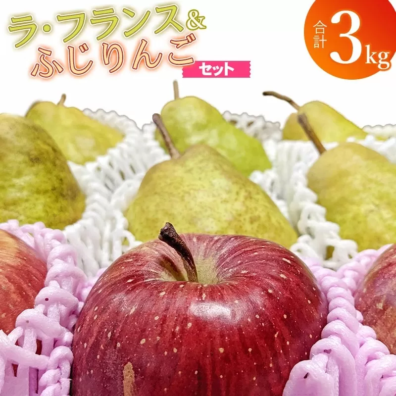 【令和6年産先行予約】 ラ・フランス＆ふじりんごセット 約3kg (10〜12玉)　山形県鶴岡市産　庄内産直センター