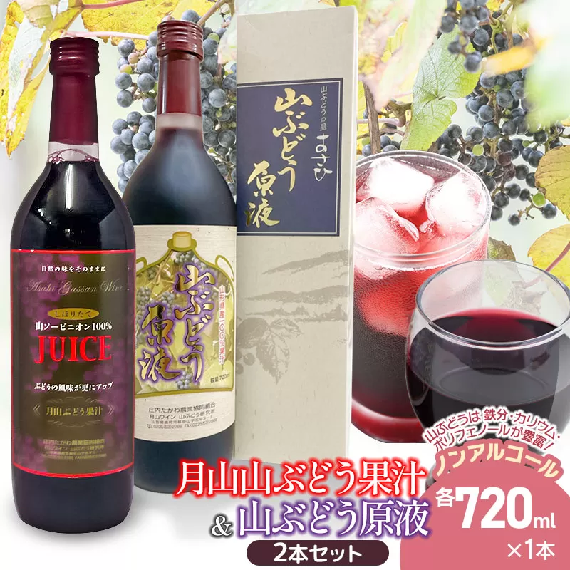 月山山ぶどう果汁・原液セット 各720ml×1本　山形県鶴岡市 庄内観光物産館事業部　| ぶどう 果汁 ブドウジュース 果汁100% 果汁飲料 飲料 飲み物 セット ジュース 果汁 山ぶどう 山形県 鶴岡市 返礼品