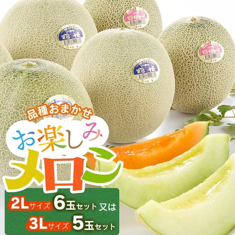 【令和7年産先行予約】お楽しみメロン 3L5玉セット または 2L6玉セット 山形県 庄内産 砂丘メロン 食べ比べ K-760　JA鶴岡