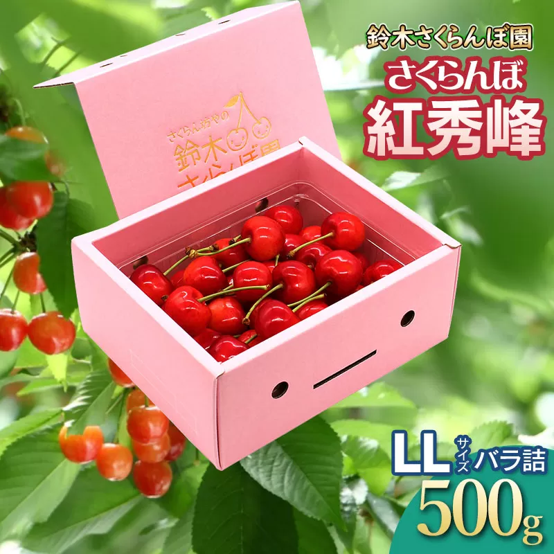 【令和7年産先行予約】 さくらんぼ 紅秀峰 LLサイズ バラ詰め 500g　山形県鶴岡産　鈴木さくらんぼ園