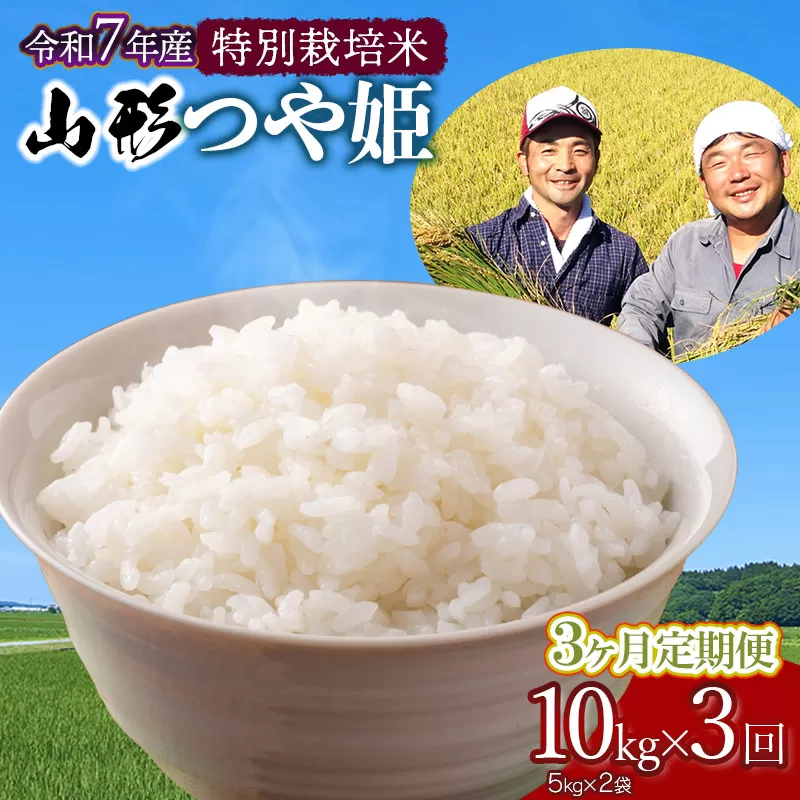 【令和7年産先行予約】【定期便】 特別栽培米 山形つや姫 精米 10kg(5kg×2袋)×3ヶ月　山形県鶴岡市産　鶴岡ファーマーズ