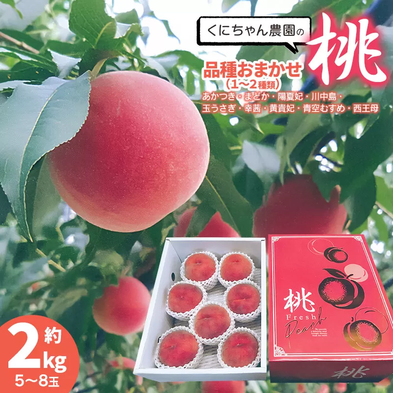 【令和7年産先行予約】 鶴岡市産 桃 (品種おまかせ) 約2kg(5～8玉)　くにちゃん農園