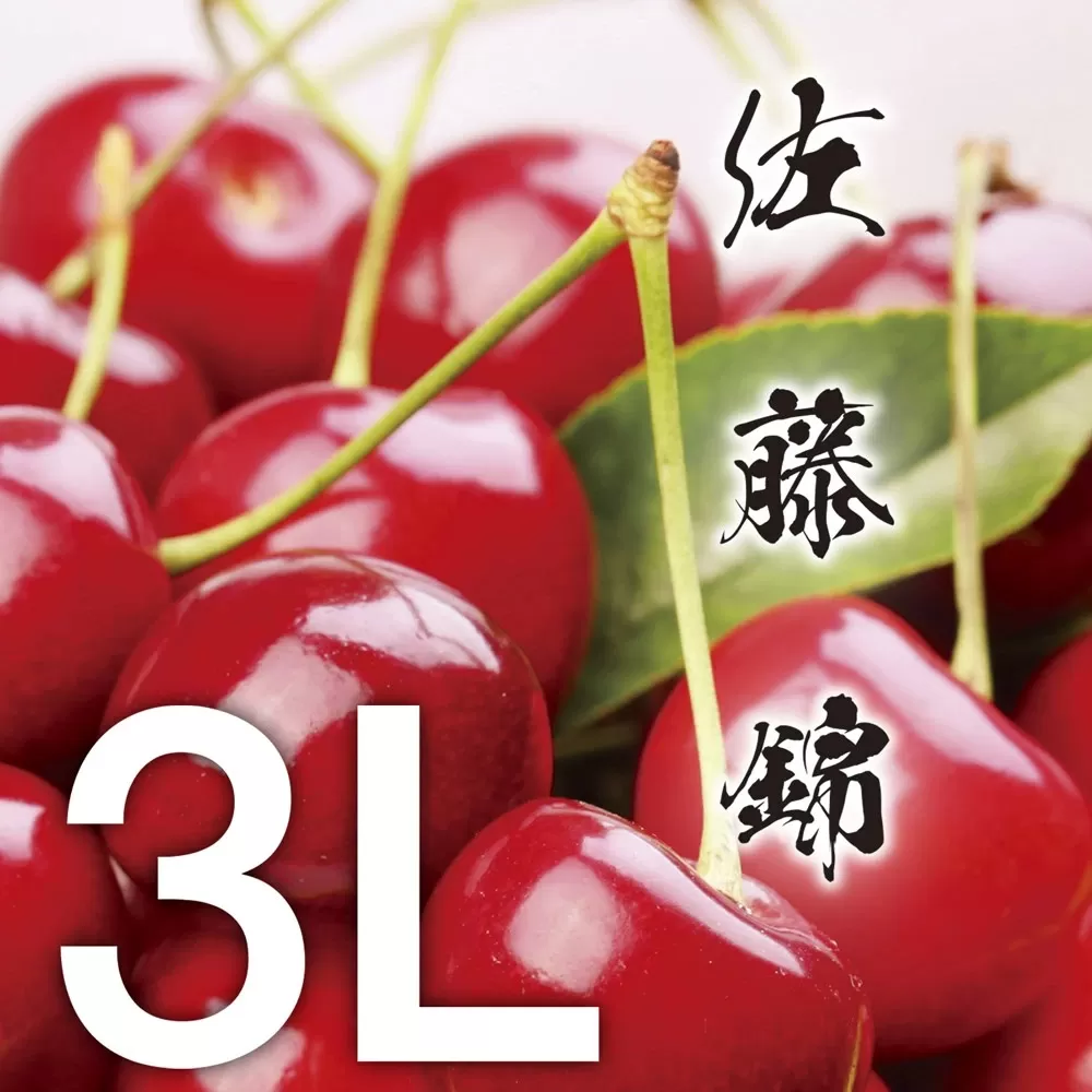 【令和7年産先行予約】《訳あり》さくらんぼ 佐藤錦 大粒3Lサイズ！バラ詰め500g うまい庄内