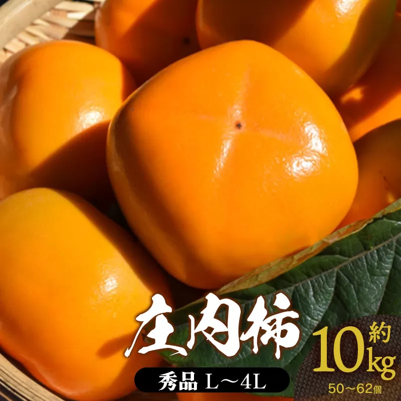 【令和7年産先行予約】 庄内柿 秀品 (L～4Lサイズ)  約10kg (5kg×2箱) 山形県鶴岡市産　株式会社 元青果