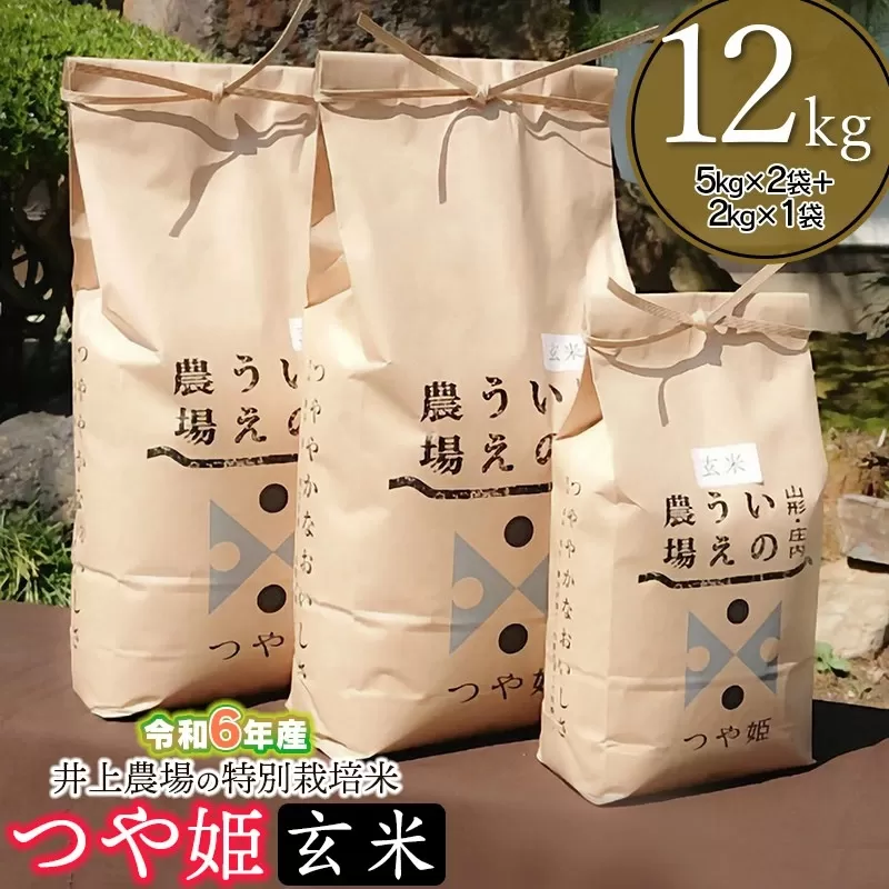 【令和6年産 先行予約】井上農場の特別栽培米 つや姫 【玄米】 12kg (5kg×2袋＋2kg×1袋) K-663