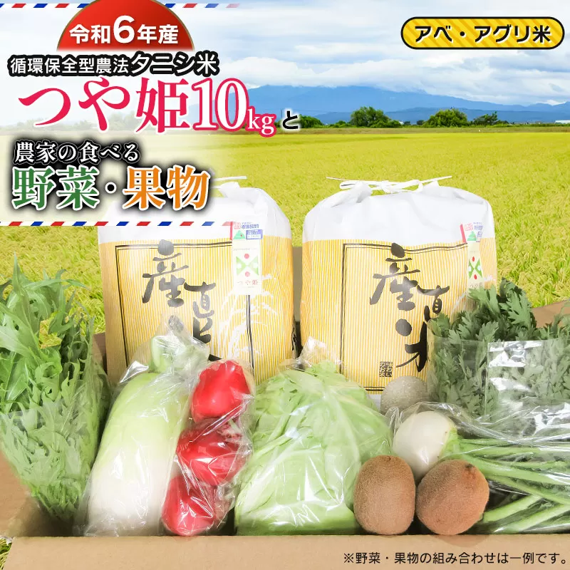 【令和6年産 先行予約】 特別栽培米 つや姫（タニシ米）10kg（5kg×2袋）と農家の食べる野菜・果物　山形県鶴岡産　アベ・アグリ米