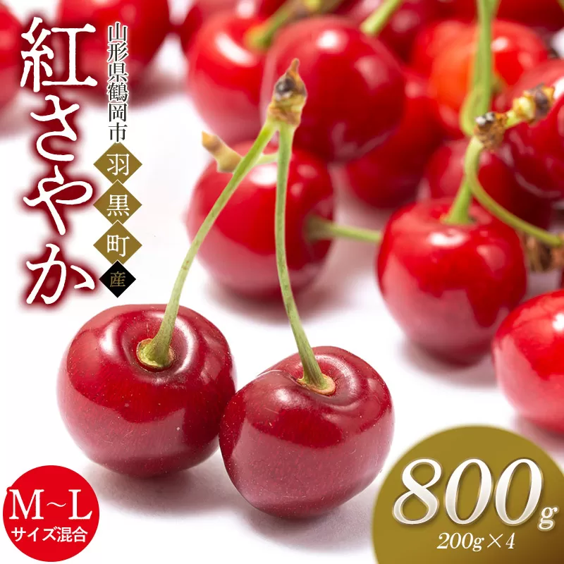 【令和8年産先行予約】さくらんぼ 紅さやか M~Lサイズ混合 バラ詰め 800g (200g×4P) 庄内さくらんぼ園