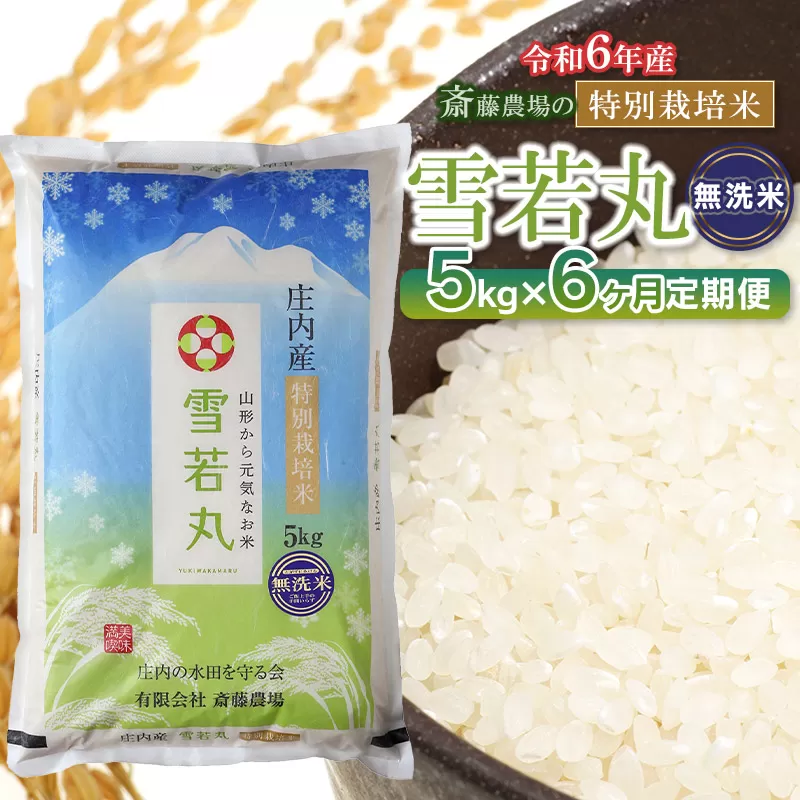 【定期便6ヶ月】【令和6年産】 斎藤農場の特別栽培米 雪若丸 【無洗米】5kg(5kg×1袋)×6ヶ月　K-624
