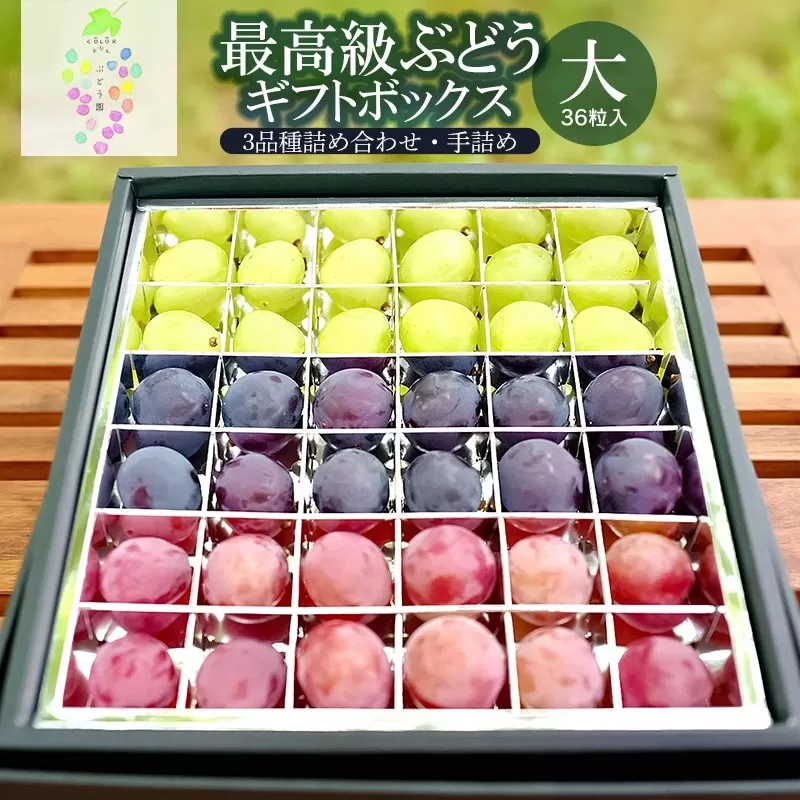 【令和7年産先行予約】最高級ぶどう ギフトボックス【大】36粒入 高級3品種 詰合せ（手詰め）　カラフルぶどう園