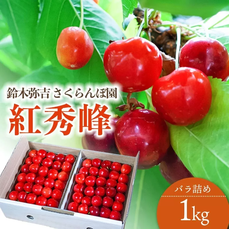 【令和7年産先行予約】 さくらんぼ 「紅秀峰」 バラ詰め 1kg (500g×2) 山形県鶴岡産　鈴木弥吉さくらんぼ園　K-763