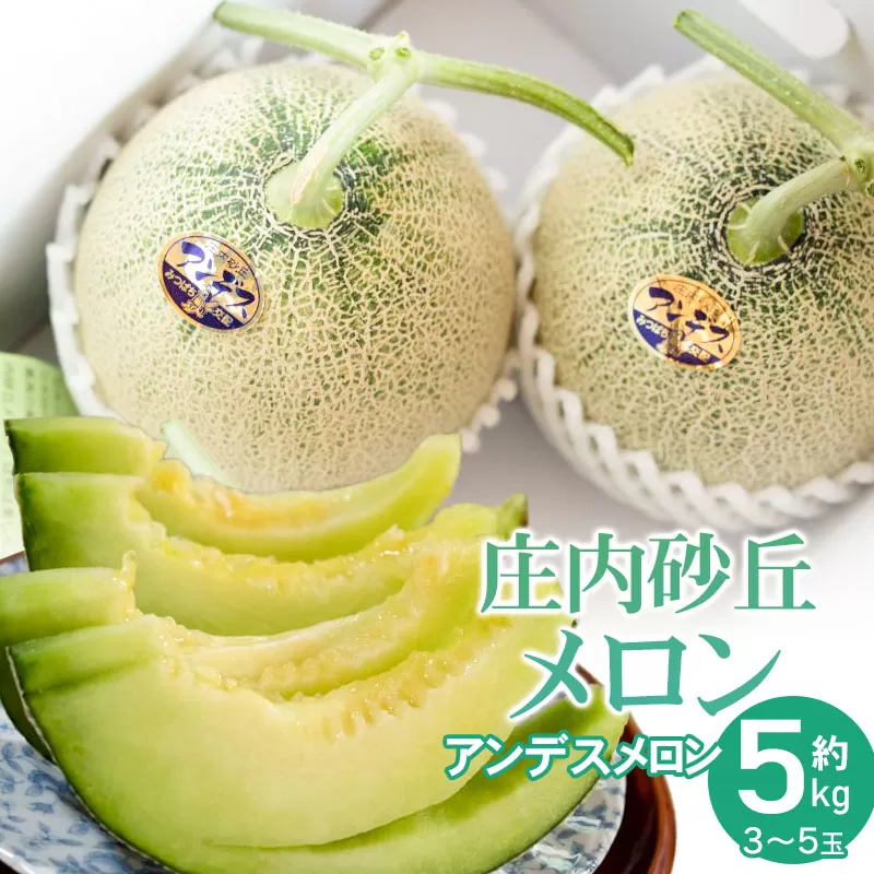 【令和8年産先行予約】菅原農園の庄内砂丘メロン 約5kg (3玉~5玉) アンデス メロン 【7月下旬~8月上旬】 k-839 菅原農園 鶴岡地区物産協同組合