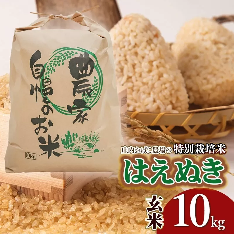 【令和7年産先行予約】庄内おばこ農場の特別栽培米 はえぬき【玄米】10kg（10kg×1袋）　K-784