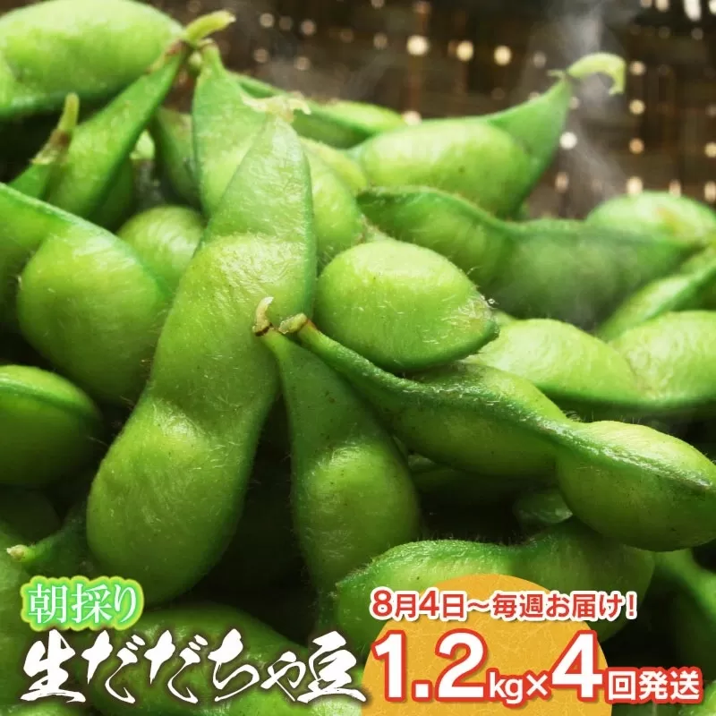 【4回定期便】【令和7年産先行予約】 朝採りだだちゃ豆 だだちゃ豆好き必見！毎週お届け！4回発送 1.2kg(600g×2袋)×4回　山形県鶴岡市産　鶴岡ファーマーズ