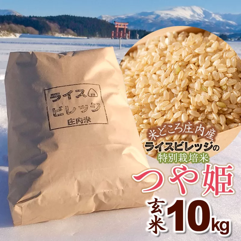 令和7年産 米どころ庄内産ライスビレッジの特別栽培米 つや姫 玄米10kg K-7117