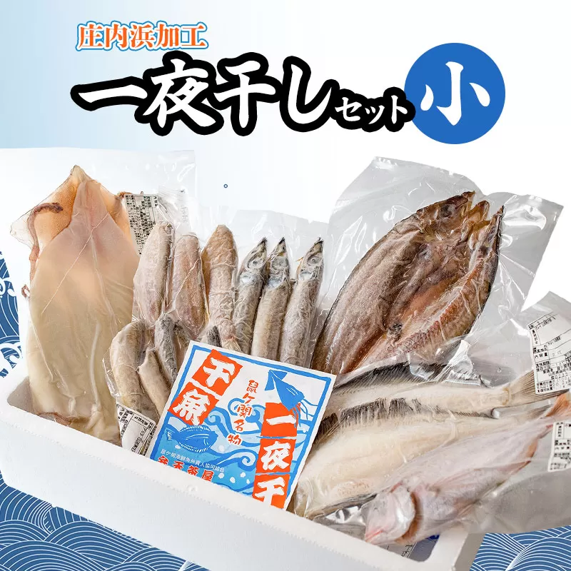 庄内浜加工　一夜干しセット（小）　鶴岡魚類株式会社　K-739