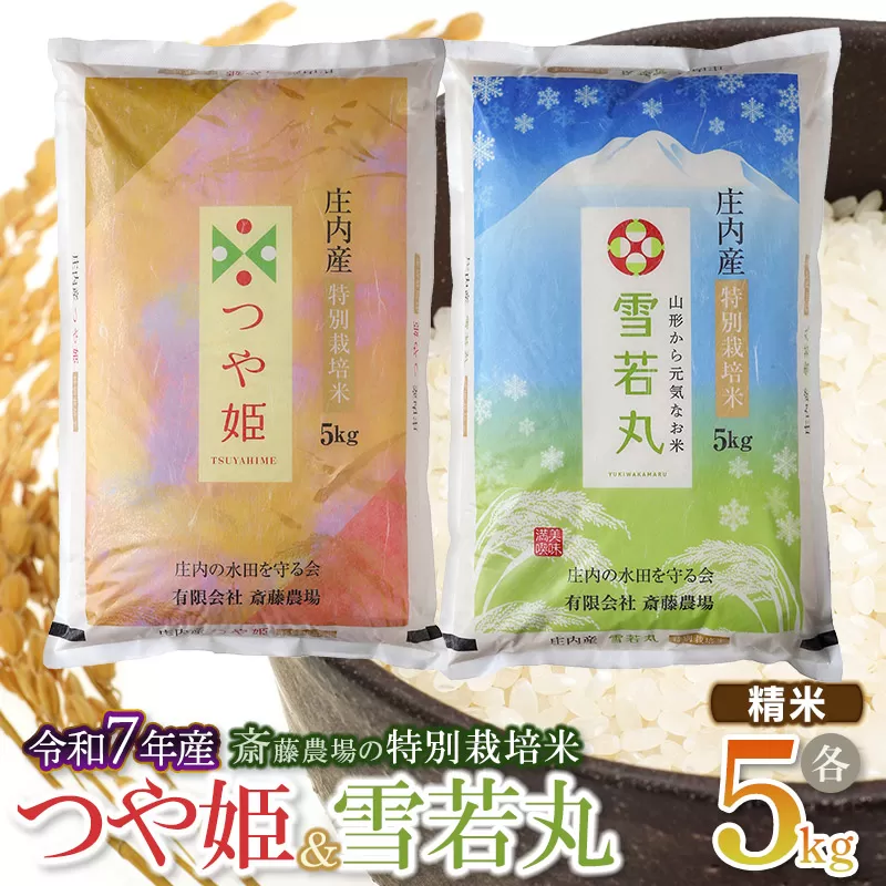 【令和7年産先行予約】 斎藤農場の特別栽培米つや姫・雪若丸 各5kgセット 食べ比べ 山形県鶴岡市 K-774