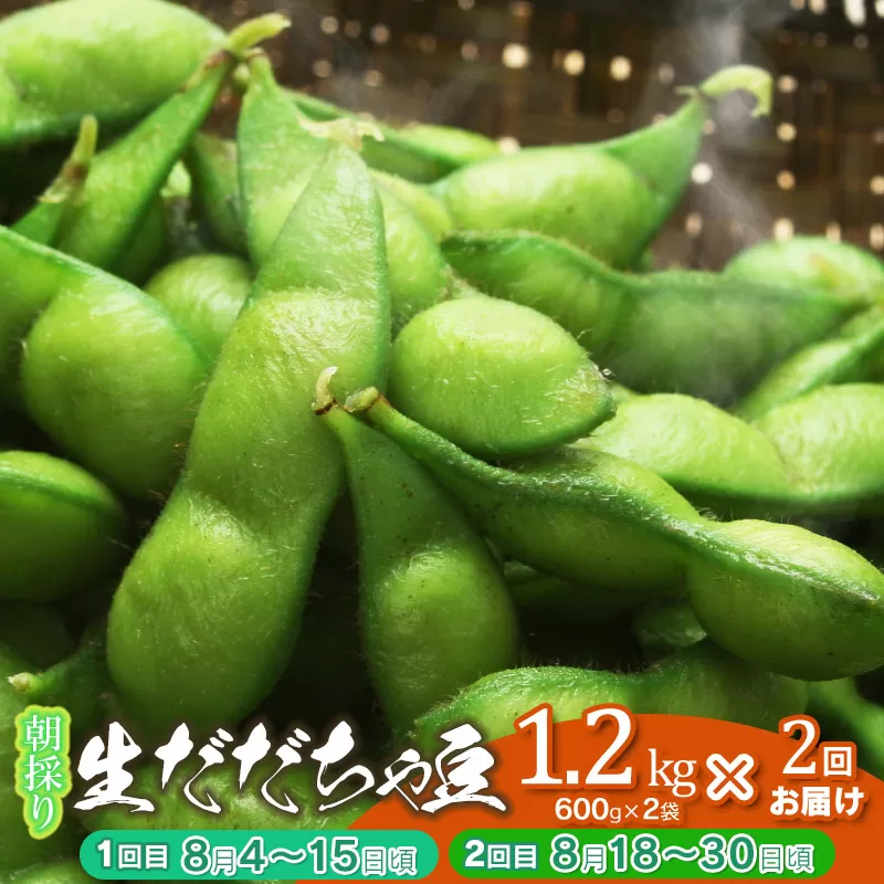 【2回定期便】【令和7年産先行予約】 朝採り生だだちゃ豆 1.2kg(600g×2袋)×2回　旬2回お届け（8月上旬、8月下旬） 山形県鶴岡市産　鶴岡ファーマーズ