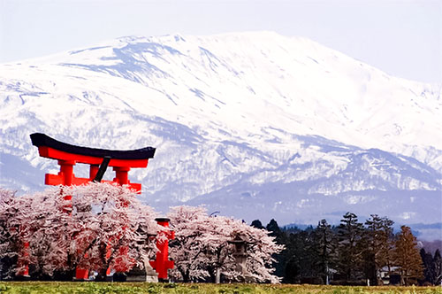 鶴岡の自然と四季