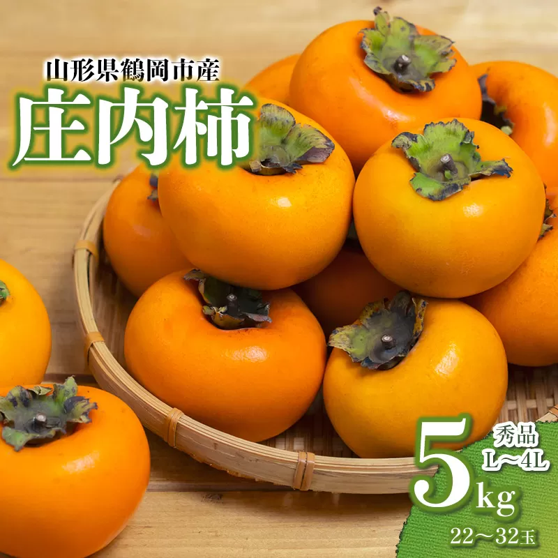 【令和7年産 先行予約】庄内柿 秀品 L～4L 約5kg（22～32玉）　山形県鶴岡市産
