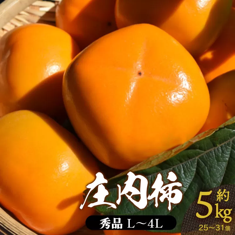 【令和7年産先行予約】 庄内柿 (L～4Lサイズ) 秀品 約5kg (25～31個) 山形県鶴岡市産　株式会社 元青果