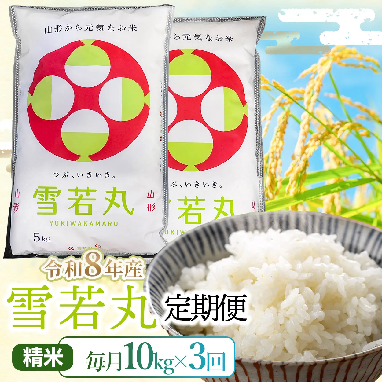 【令和8年産】【3ヶ月定期便】雪若丸 精米10kg(5kg×2袋)×3回 山形県鶴岡市 らん工房 | 定期 ゆきわかまる 10キロ 米 お米 おこめ コメ こめ 食品 ご飯 ごはん おいしい お取り寄せ 農家直送 お弁当 おにぎり 東北 国産 おすすめ 人気 返礼品