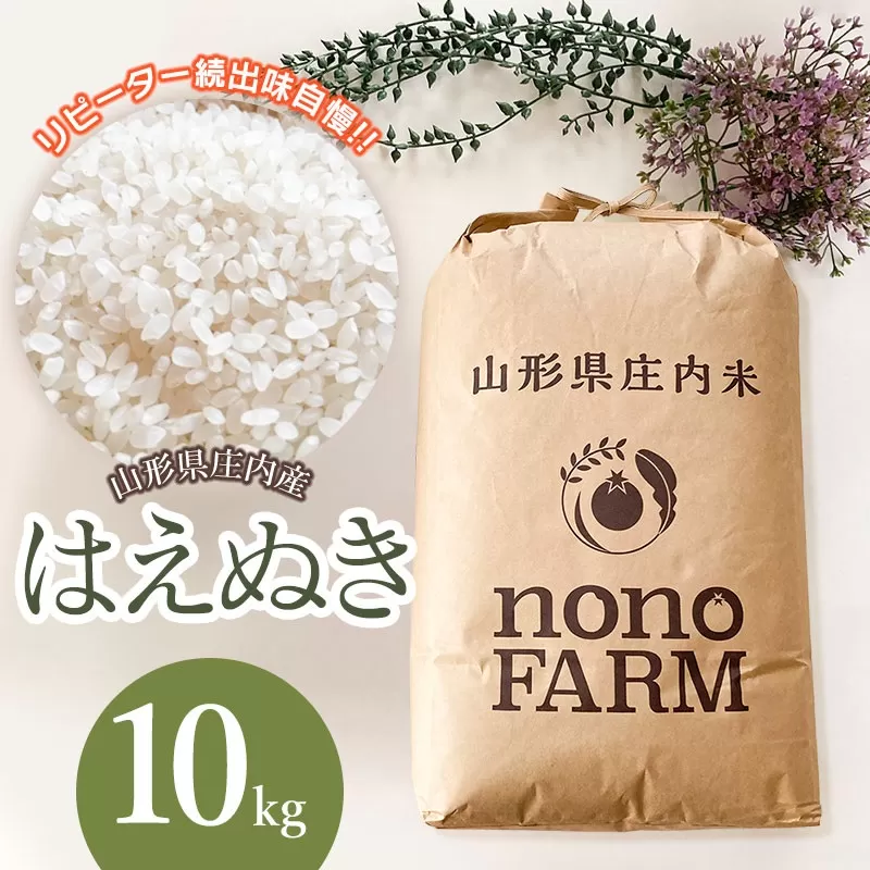 【令和6年産】 はえぬき 精米 10kg 山形県庄内産　野々ファーム
