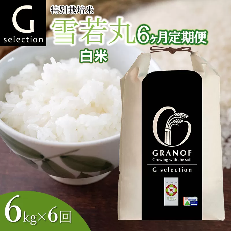 【令和7年産先行予約】【定期便6ヶ月】 特別栽培米 Gセレクション 雪若丸 【白米】6kg (6kg×1袋)×6ヶ月 山形県鶴岡市産　株式会社グラノフ