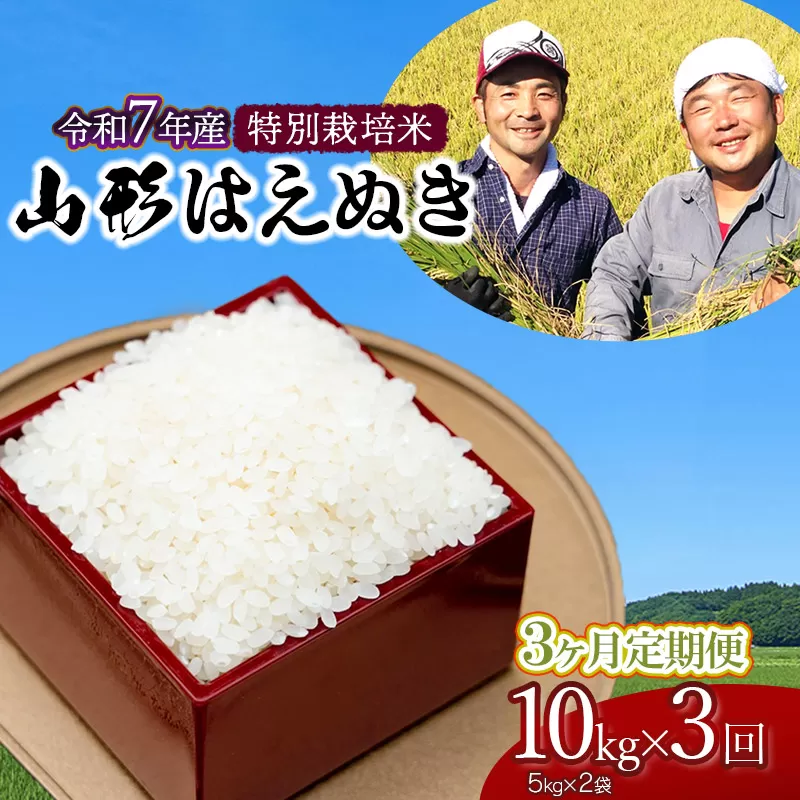 【令和7年産先行予約】【定期便】特別栽培米 山形はえぬき 精米10kg(5kg×2袋)×3ヶ月　山形県鶴岡市産　鶴岡ファーマーズ