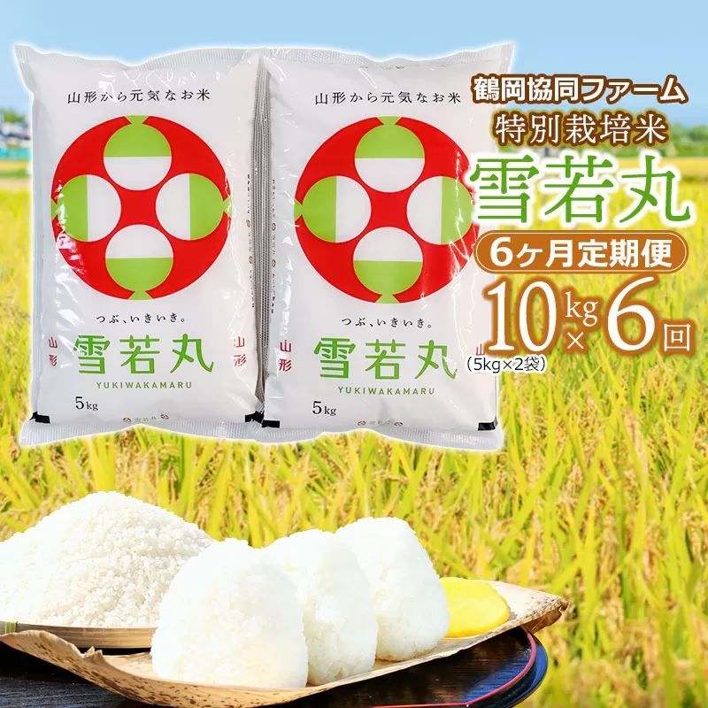 【令和6年産先行予約】 特別栽培米雪若丸 10kg (5kg×2袋) ×6ヶ月【定期便】 山形県鶴岡産　鶴岡協同ファーム