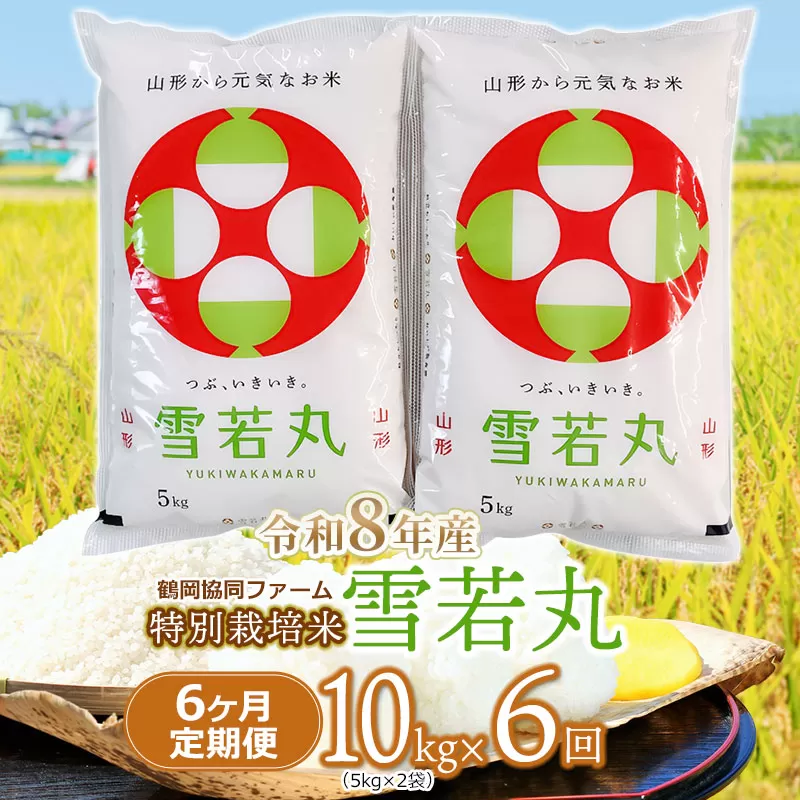 【令和8年産先行予約】 特別栽培米雪若丸精米 10kg (5kg×2袋) ×6ヶ月【定期便】 山形県鶴岡産　鶴岡協同ファーム