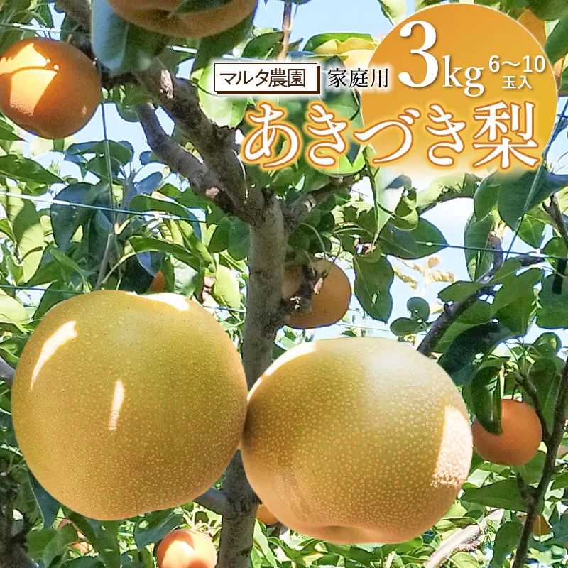 【令和7年産】家庭用　和梨 あきづき 3kg（6～10玉）　マルタ農園
