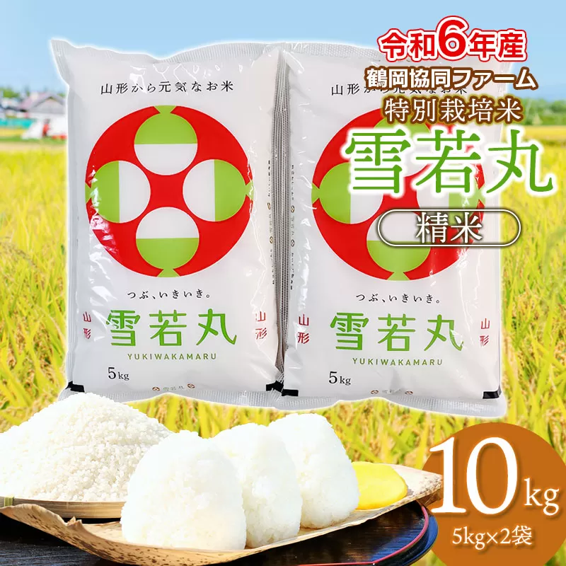 【令和6年産】 特別栽培米　雪若丸 精米 10kg (5kg×2袋) 山形県鶴岡産　鶴岡協同ファーム